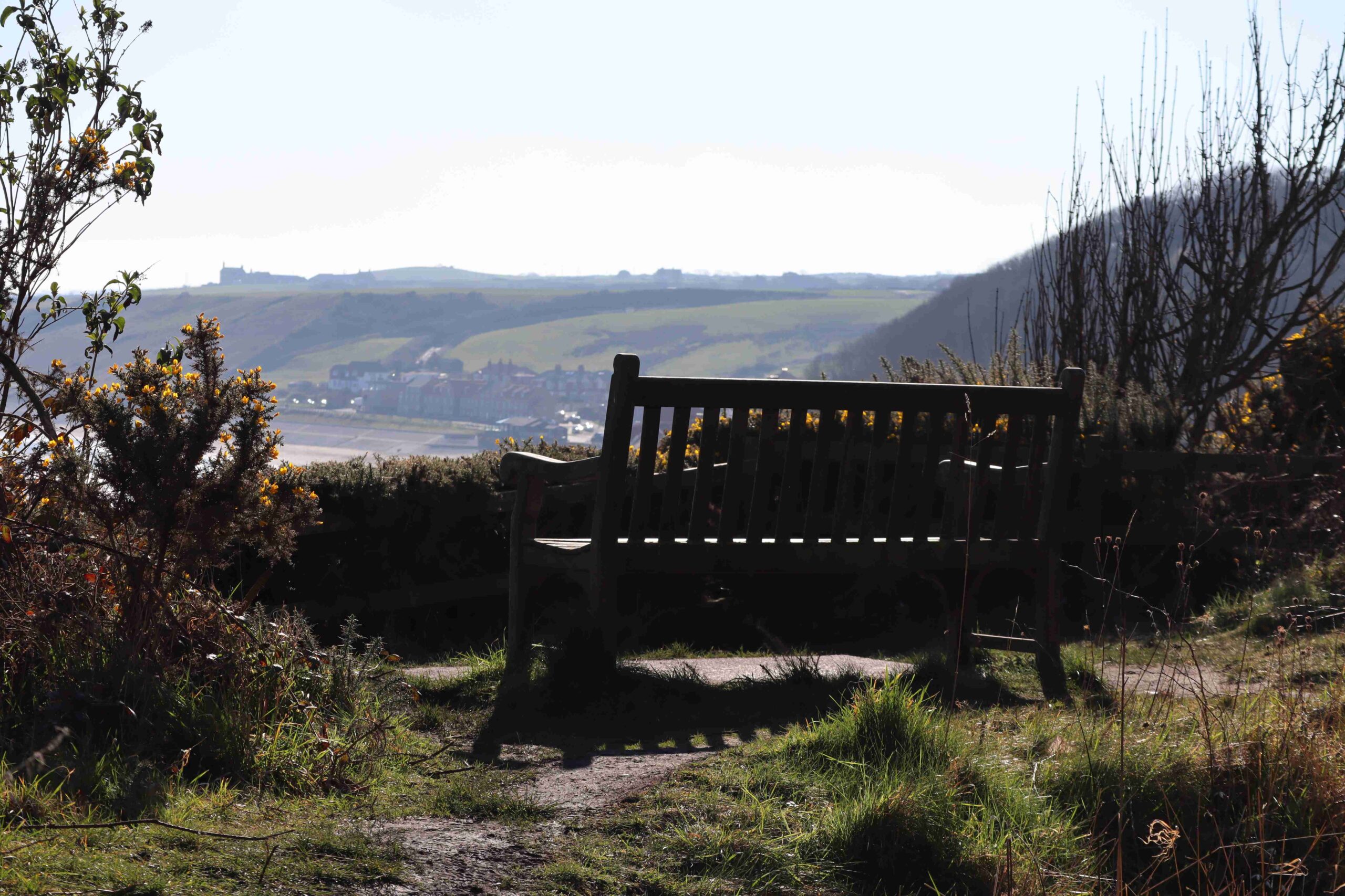 Bench overlooking Countyside